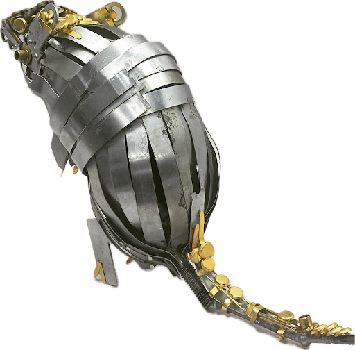 Armadillo Back 3/4ths